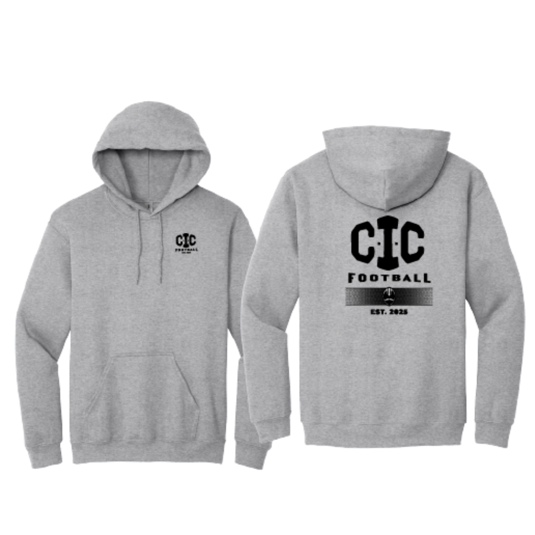 Heavy Blend Hoodie
