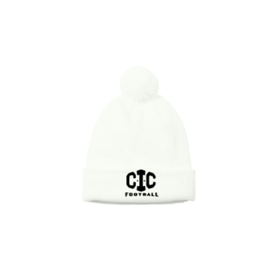 Cozy Pom Beanie