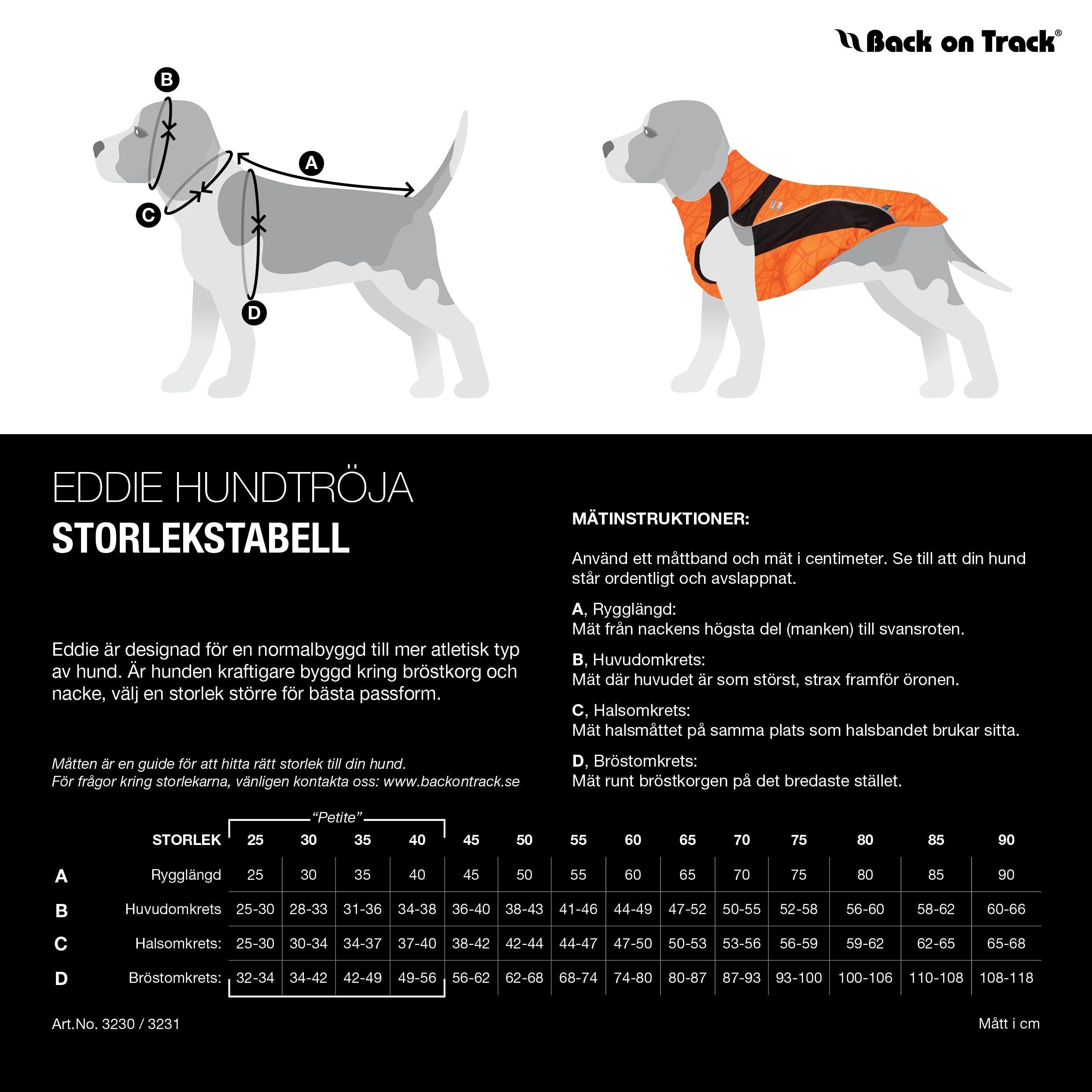 HundtrÃ¶ja Eddie, Orange - Back on Track