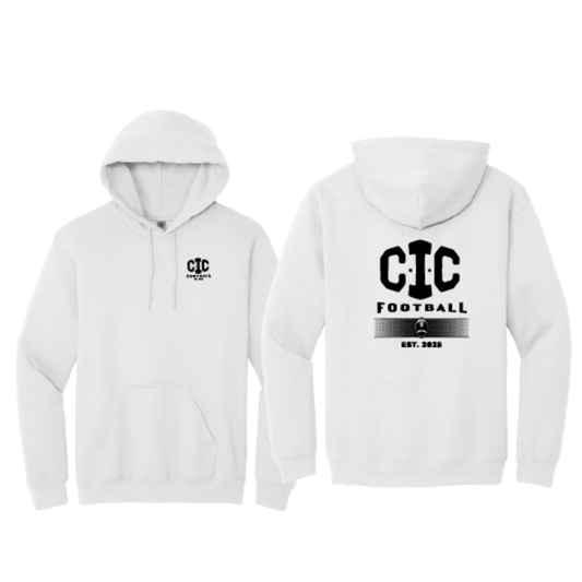 Heavy Blend Hoodie