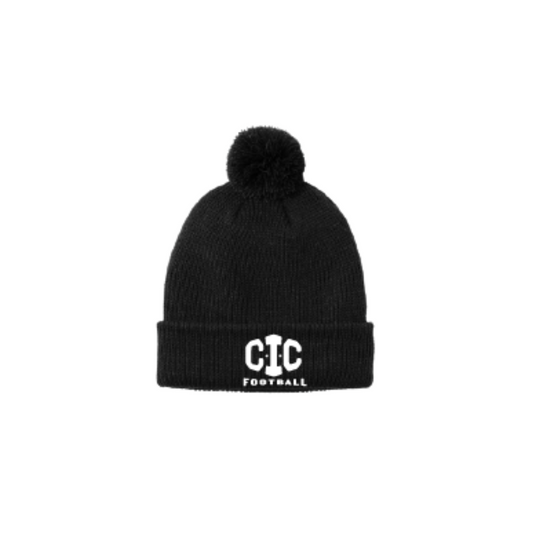 Cozy Pom Beanie